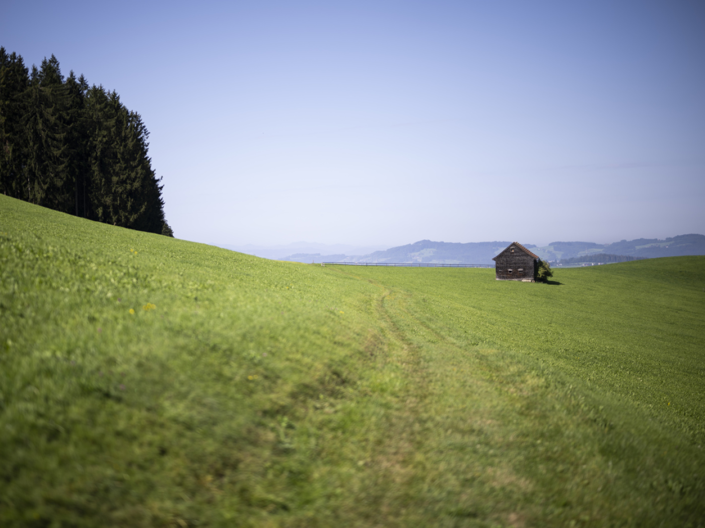 PFAS-contaminated St. Gallen businesses continue to sell meat